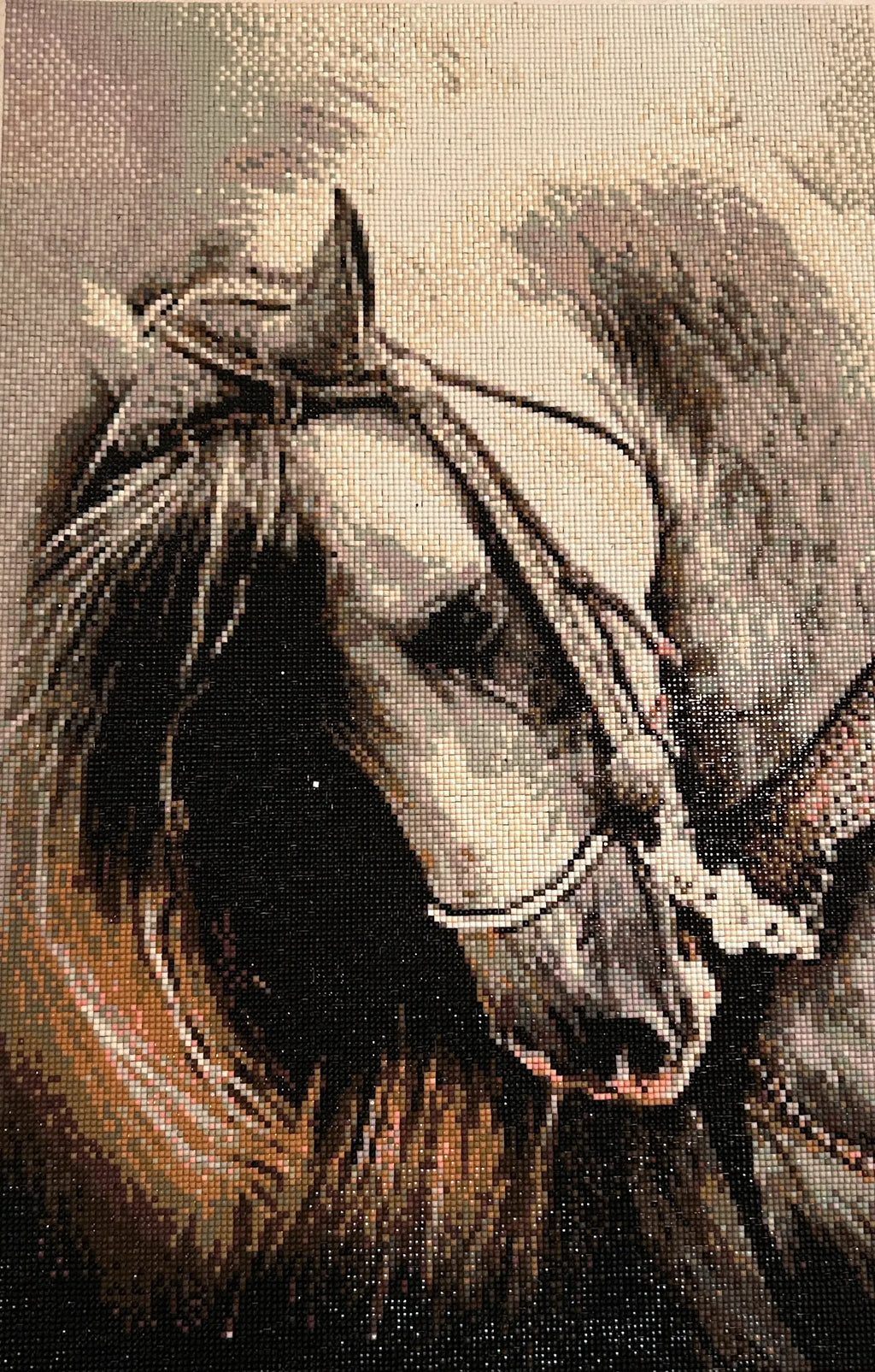 Wildmane Portrait Diamond Painting