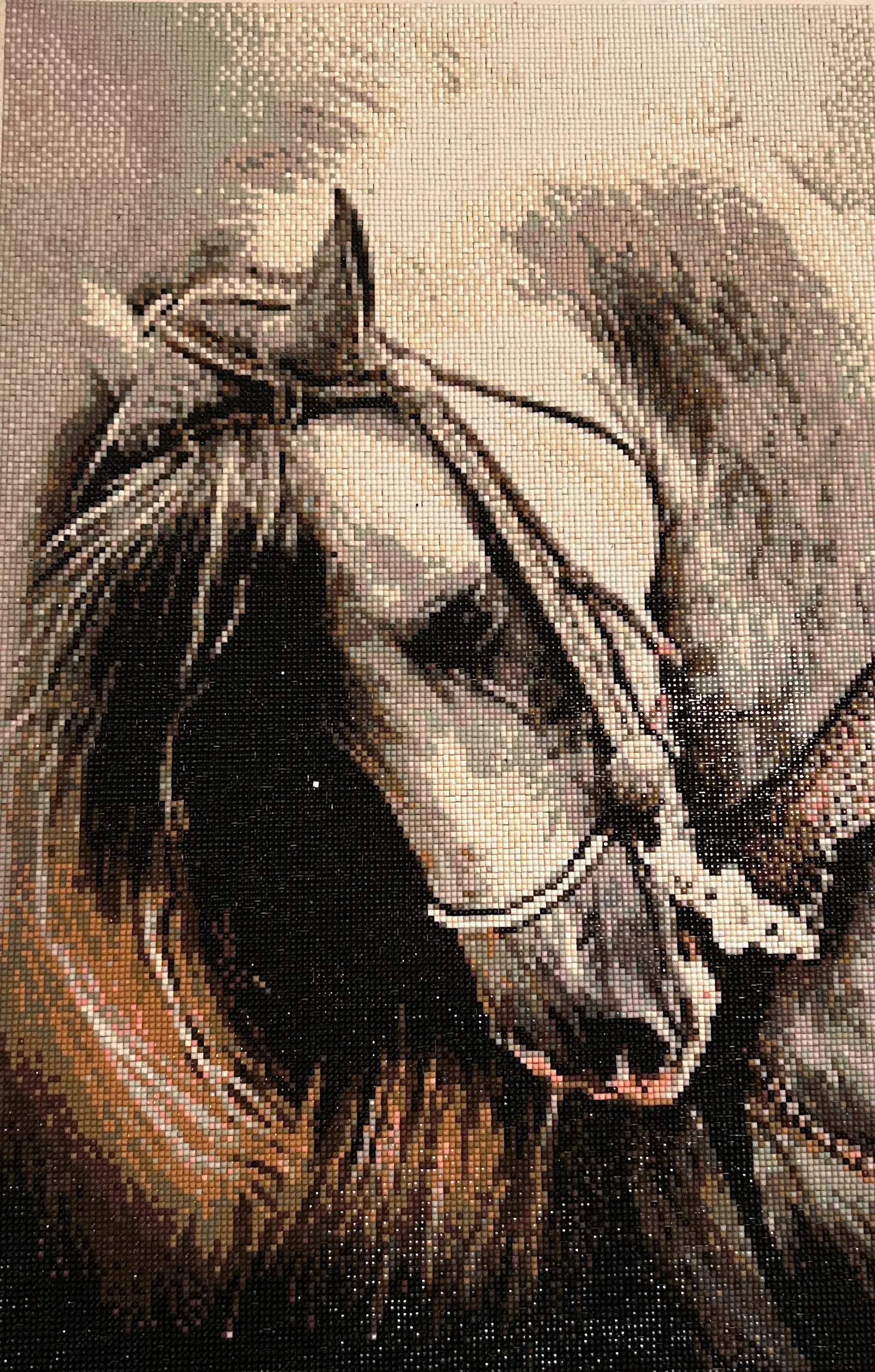 Wildmane Portrait Diamond Painting