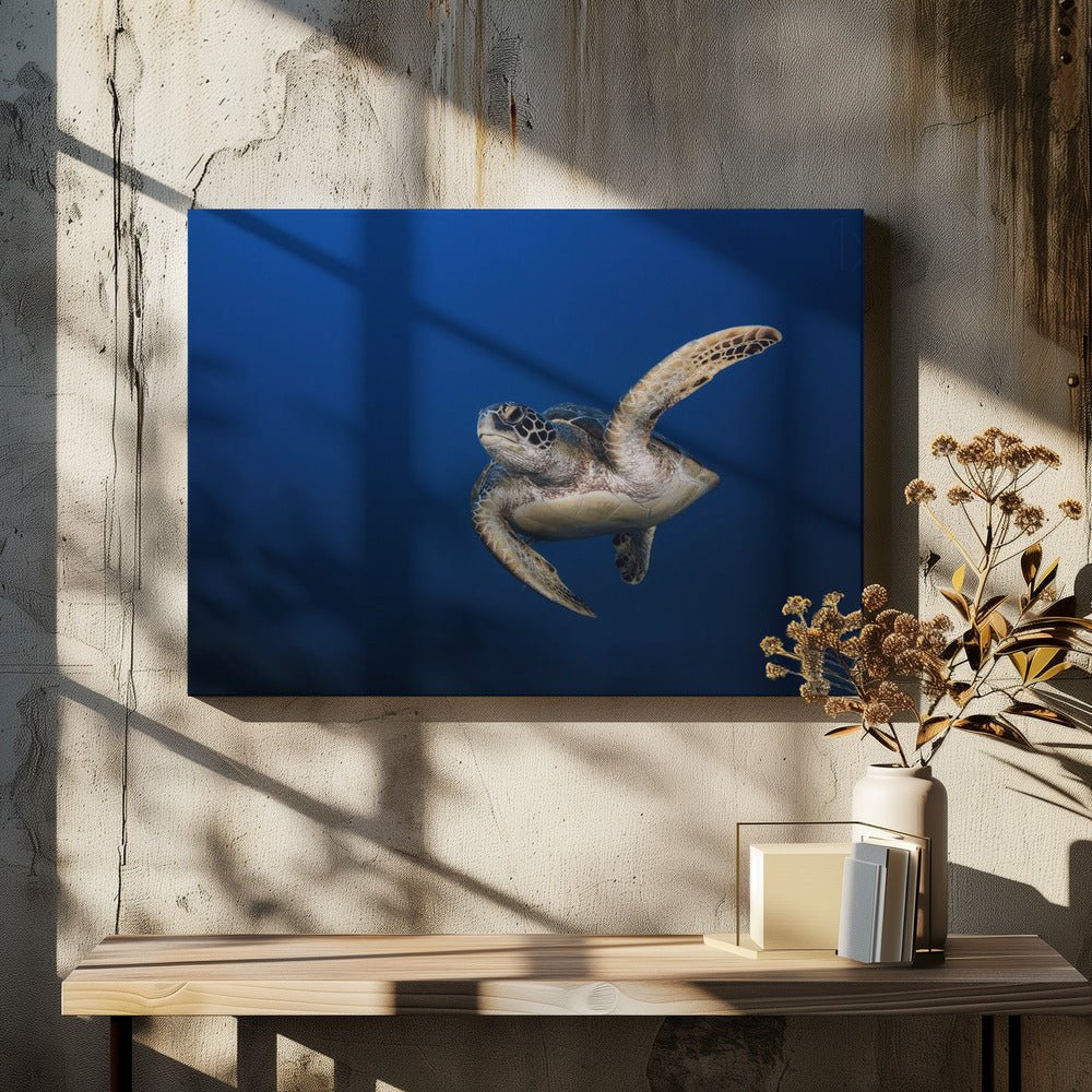 Wall art Green Turtle-4